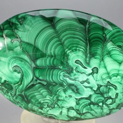 Malachite Palmstone (Extra Grade) ~70x50mm