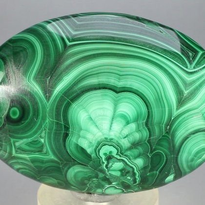 Malachite Palmstone (Extra Grade) ~70x50mm