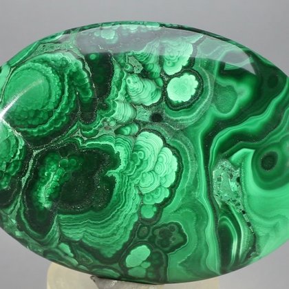 Malachite Palmstone (Extra Grade) ~70x50mm