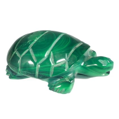 Malachite Turtle ~20 x 57mm