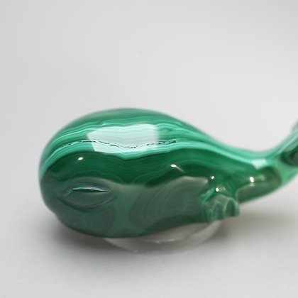 Malachite Whale ~50x20mm