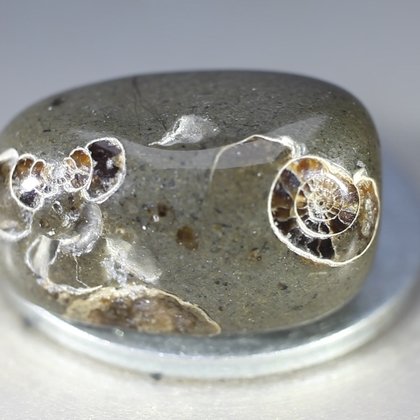 Marston Marble Polished Stone ~21mm