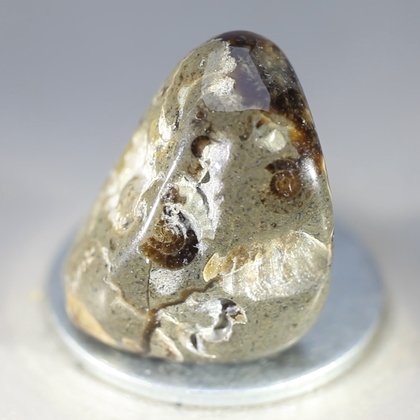Marston Marble Polished Stone ~23mm