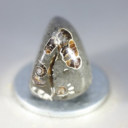 Marston Marble Polished Stone ~23mm