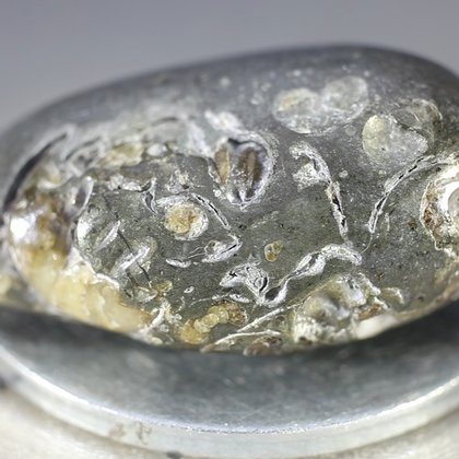 Marston Marble Polished Stone ~23mm
