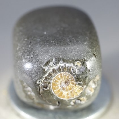Marston Marble Polished Stone ~25mm