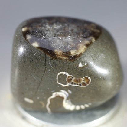 Marston Marble Polished Stone ~28mm