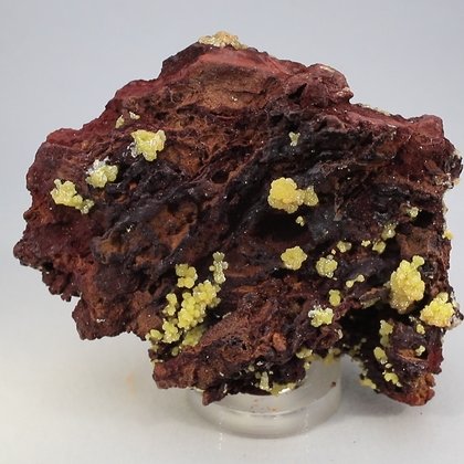 Mimetite Mineral Specimen ~53mm