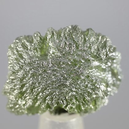 Moldavite Healing Crystal (Collector Grade) ~25mm