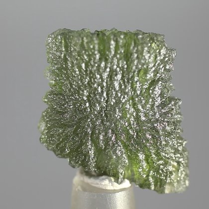 Moldavite Healing Crystal (Collector Grade) ~28mm