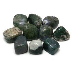 Moss Agate Tumble Stones (20-25mm)