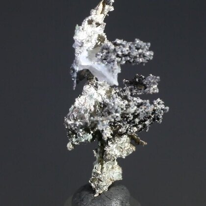 Native Silver Healing Mineral Specimen ~18mm