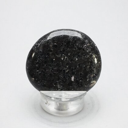 Nuummite Polished Flat Tumblestone ~42mm