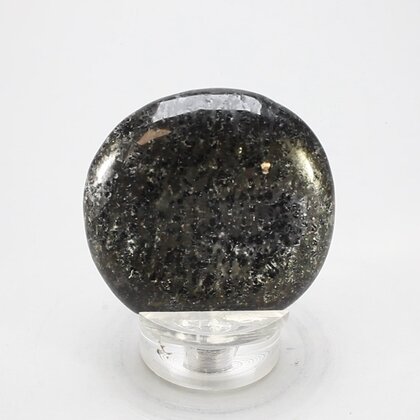 Nuummite Polished Flat Tumblestone ~43mm