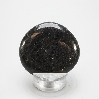 Nuummite Polished Flat Tumblestone ~45mm