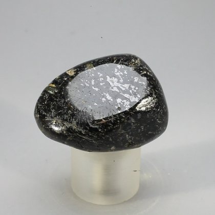 Nuummite Tumblestone (Extra Grade) ~34mm