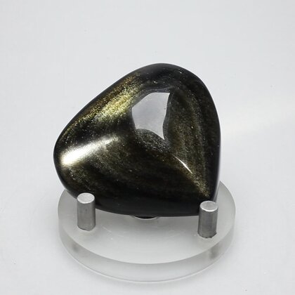 Obsidian Sheen-Gold Polished Stone ~47mm