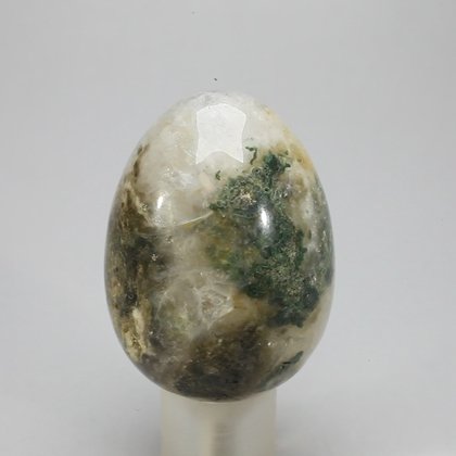 Ocean Jasper Crystal Egg ~49mm