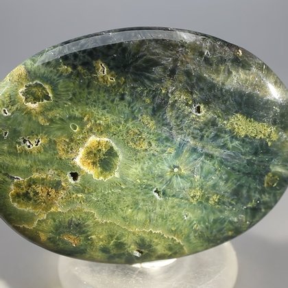 Ocean Jasper Palmstone (Extra Grade) ~70x50mm