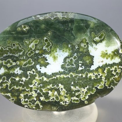 Ocean Jasper Palmstone (Extra Grade) ~70x50mm