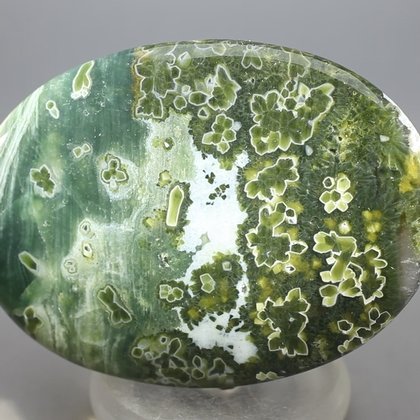 Ocean Jasper Palmstone (Extra Grade) ~70x50mm