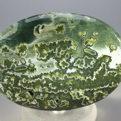 Ocean Jasper Palmstone (Extra Grade) ~70x50mm