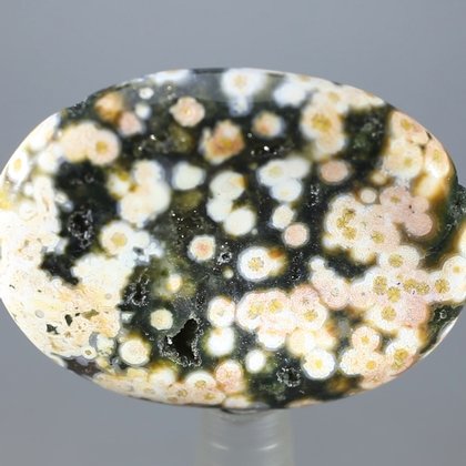 Ocean Jasper Thumbstone (Extra Grade) ~40mm