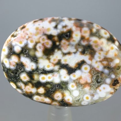 Ocean Jasper Thumbstone (Extra Grade) ~40mm