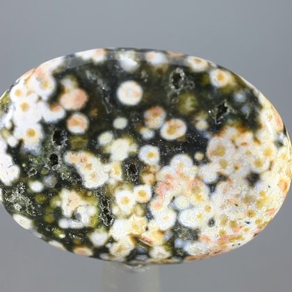 Ocean Jasper Thumbstone (Extra Grade) ~40mm