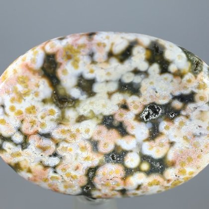 Ocean Jasper Thumbstone (Extra Grade) ~40mm