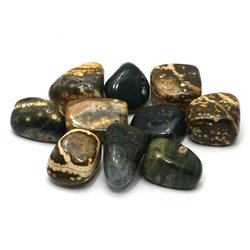 Ocean Jasper Tumble Stone (20-25mm)