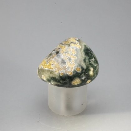 Ocean Jasper Tumblestone ~28mm