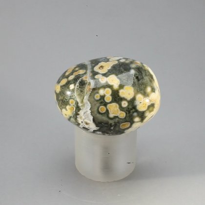 Ocean Jasper Tumblestone ~30mm