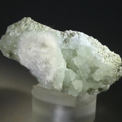 Okenite Mineral Specimen ~47mm