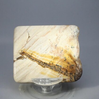 Petrified Wood Polished Tile ~55mm