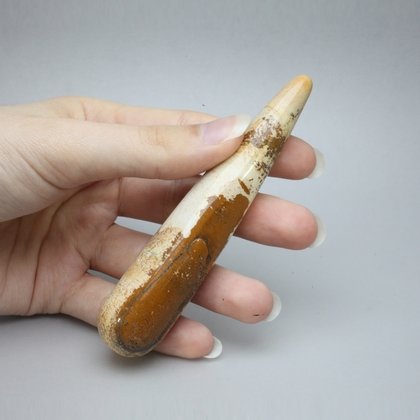 Picture Jasper Crystal Massage Wand ~98mm