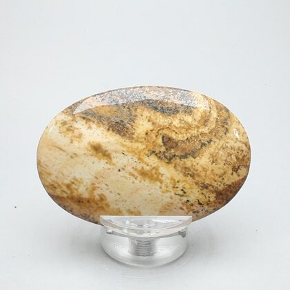 Picture Jasper Palmstone (Extra Grade)  ~58 x 38mm