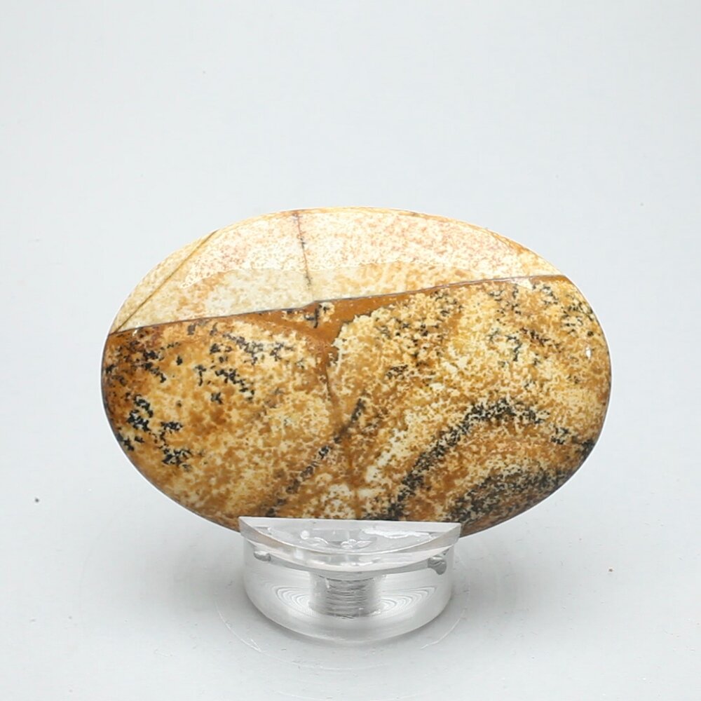 Picture Jasper Palmstone (Extra Grade)  ~58 x 38mm