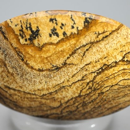 Picture Jasper Palmstone (Extra Grade)  ~60 x 40 mm