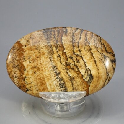 Picture Jasper Palmstone (Extra Grade)  ~60 x 40mm