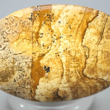 Picture Jasper Palmstone (Extra Grade)  ~60 x 40mm