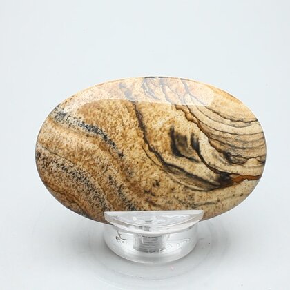Picture Jasper Palmstone (Extra Grade)  ~60x40mm
