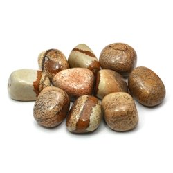 Picture Jasper Tumble Stone (20-25mm)