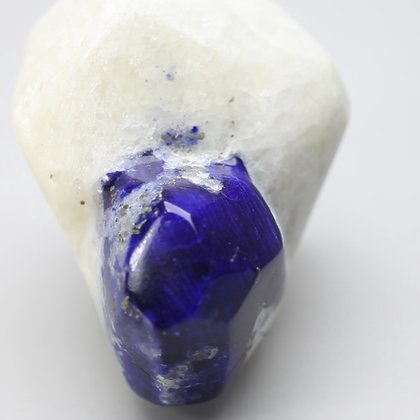 Polished Lapis Crystals on White Quartz ~51 x 41mm