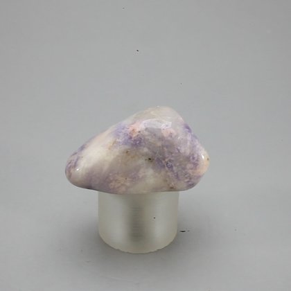 Prairie Tanzanite Tumblestone ~32mm
