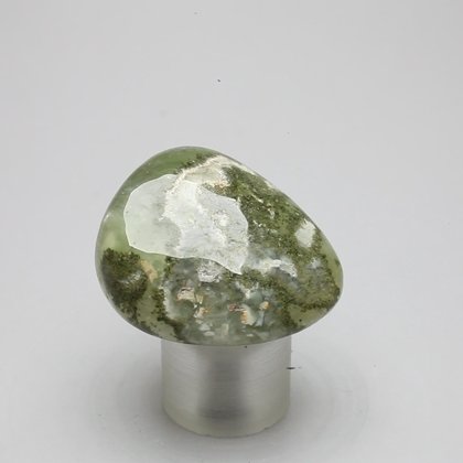 Prehnite Tumblestone ~34mm