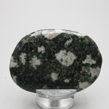 Preseli Stonehenge Bluestone Polished Stone ~57mm