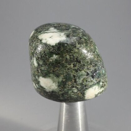 Preseli Stonehenge Bluestone Tumblestone ~28mm