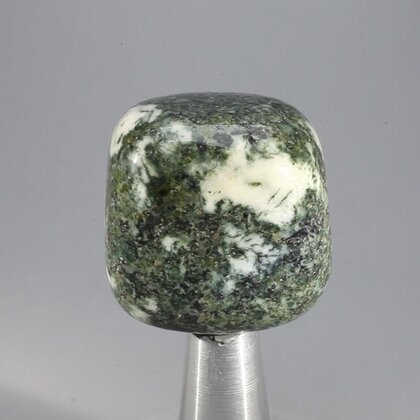 Preseli Stonehenge Bluestone Tumblestone ~29mm