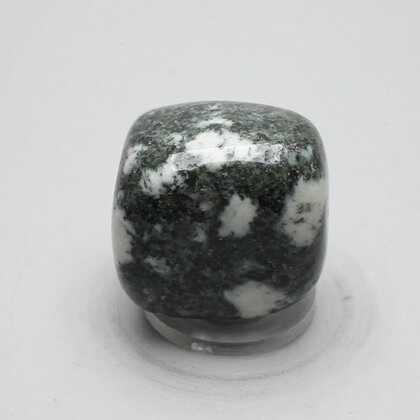 Preseli Stonehenge Bluestone Tumblestone ~30mm